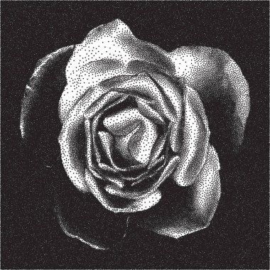 soyut noktalı arkaplan