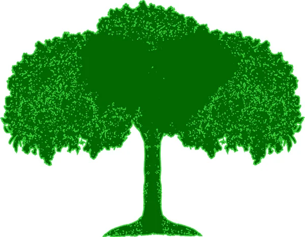 Vektör yeşil ağaç — Stok Vektör