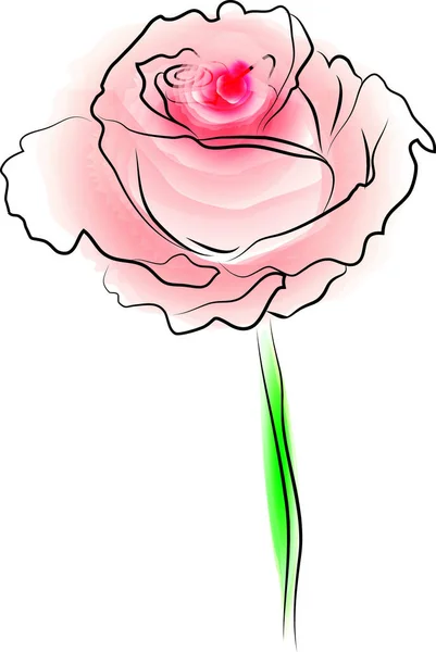 Rose flower. Floral element for greeting cards, invitations, web. — 스톡 벡터