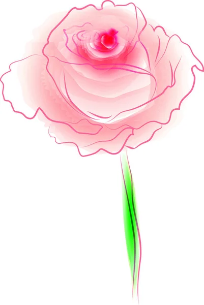 Fleur rose. Elément floral pour cartes de vœux, invitations, web . — Image vectorielle