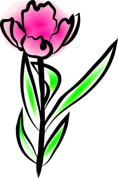 Tulpenbloem. Bloemenelement voor wenskaarten, uitnodigingen, web. — Stockvector