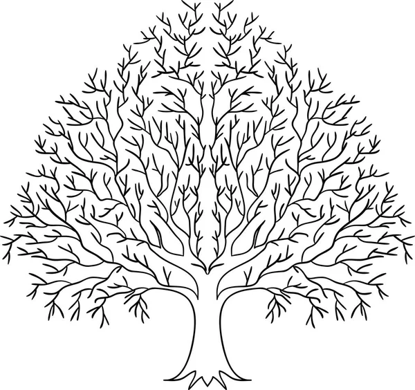 Silueta de árbol negro aislada sobre fondo blanco . — Vector de stock