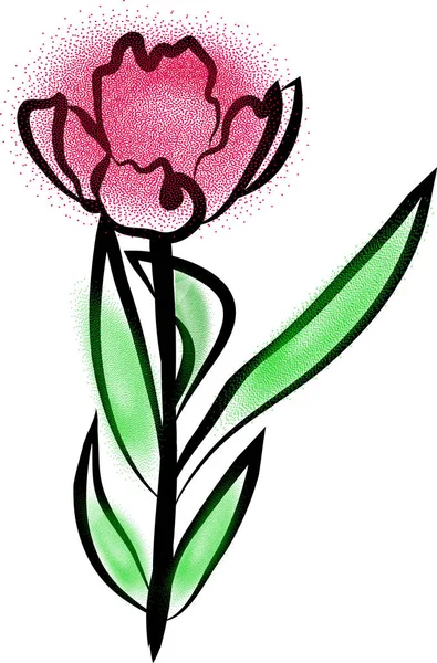 Tulpenbloem. Bloemenelement voor wenskaarten, uitnodigingen, web. — Stockvector