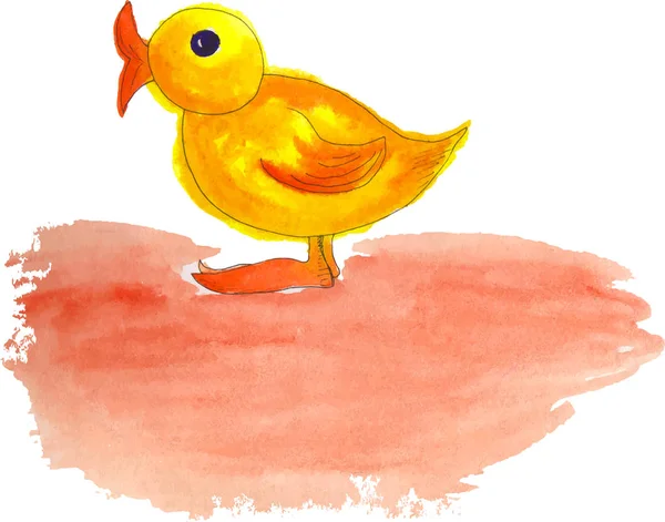 Illustration Aquarelle Canard — Image vectorielle