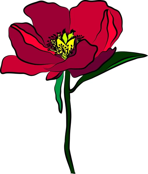 Bloemenelement, vectorillustratie — Stockvector