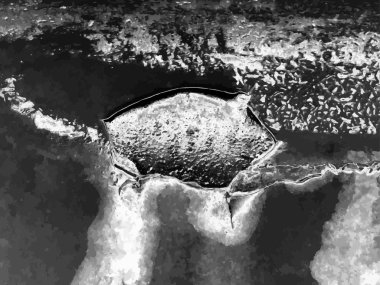 tek renkli arka plan