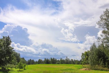 Letonya, Doğu Avrupa 'da yaz manzarası.