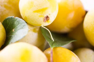 Sarı erikler kapanıyor. Tatlı olgun meyveler..