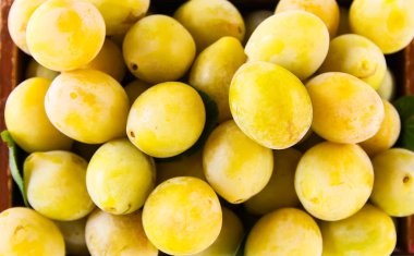 Sarı erikler kapanıyor. Tatlı olgun meyveler..