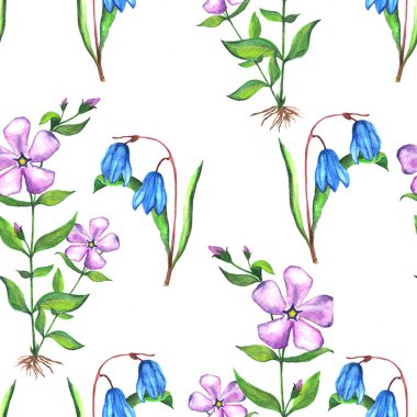 Kusursuz çiçekli botanik deseni. Menekşe ve skaler çiçeklerinin suluboya çizimi.