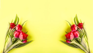 Yumuşak pastel arka planda, fotokopi alanı olan güzel lale çiçekleri. Anneler Günü, tebrik kartı şenlikli dekoratif çiçek simetrik kompozisyonu