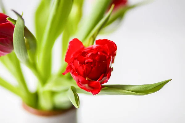 배경에 아름다운 어머니의 장식용 꽃다발 — 스톡 사진