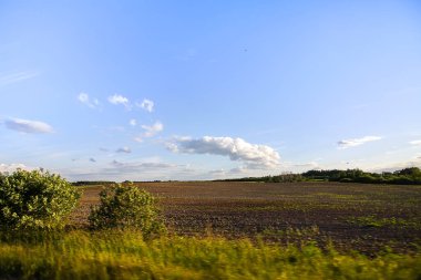 Letonya, Doğu Avrupa 'da güzel bir yaz manzarası.