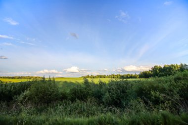 Letonya, Doğu Avrupa 'da güzel bir yaz manzarası.