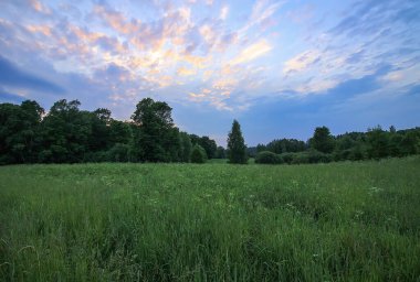 Letonya, Doğu Avrupa 'da güzel bir yaz manzarası.