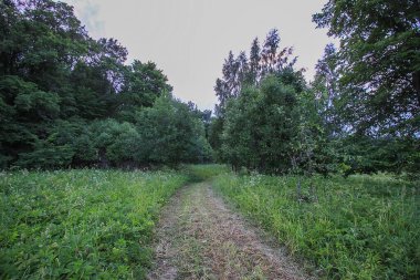 Letonya, Doğu Avrupa 'da güzel bir yaz manzarası.