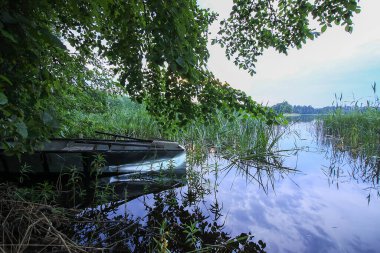 Letonya, Latgale, Doğu Avrupa 'da göl manzarası. Yaz doğası