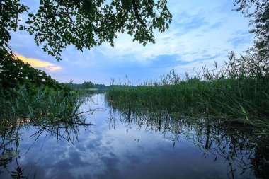 Letonya, Latgale, Doğu Avrupa 'da göl manzarası. Yaz doğası