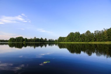 Letonya, Latgale, Doğu Avrupa 'da göl manzarası. Yaz doğası