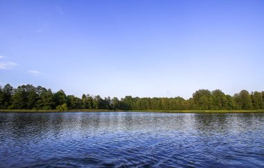 Letonya, Latgale, Doğu Avrupa 'da göl manzarası. Yaz doğası