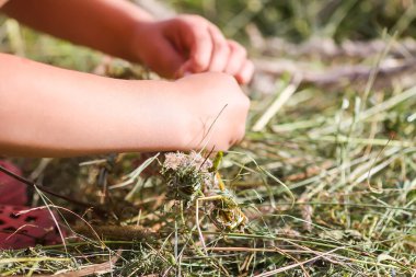 Çocuk yaz çayırında kuru otlardan çelenk yapıyor