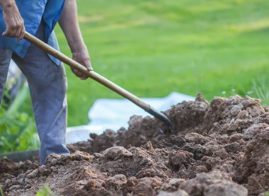 Genç adam bir kürekle toprağı kazıyor.
