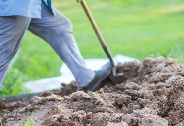 Genç adam bir kürekle toprağı kazıyor.