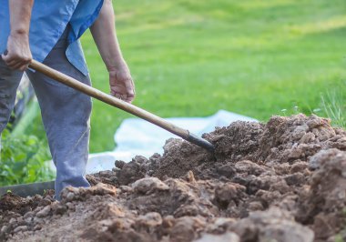 Genç adam bir kürekle toprağı kazıyor.