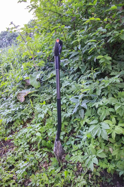 Vertical Shot Shovel Background Tree — Φωτογραφία Αρχείου