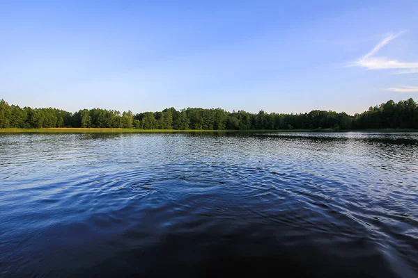 Letonya, Latgale, Doğu Avrupa 'da göl manzarası. Yaz doğası