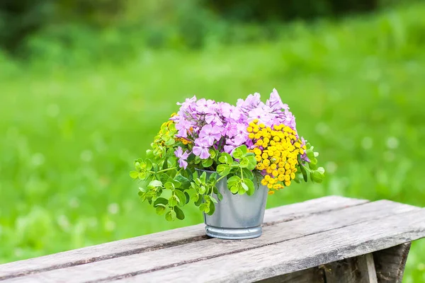 Beautiful Bouquet Wildflowers Wooden Bench Summer Nature Background Countryside — Stock Photo, Image