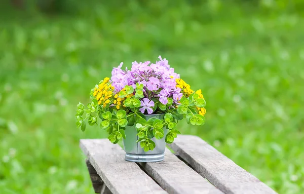 Güzel Bir Buket Kır Çiçeği Ahşap Bankta Yaz Mevsiminde Kırsal — Stok fotoğraf