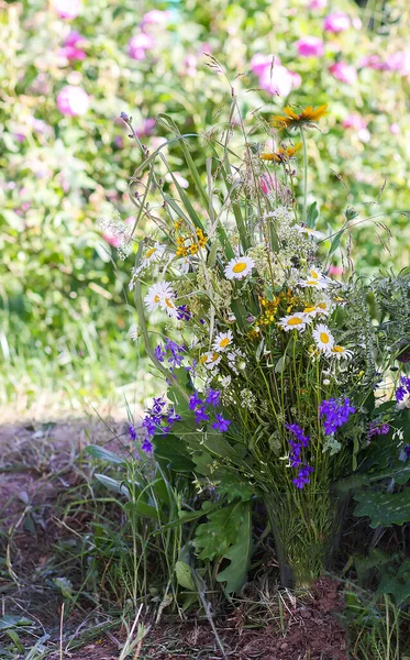 Beautiful Wildflowers Garden — Foto de Stock