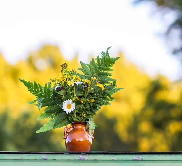 Beautiful Summer Flowers Flower Vase Flora Nature — Stockfoto