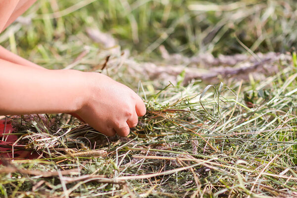 Child making a wreath from dry grass on summer meadow