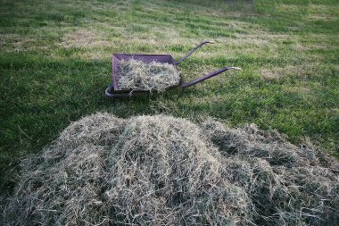 Kırsal alanda samanların yanında el arabası. Yazın çimenlerim kışa hazırlanıyor..