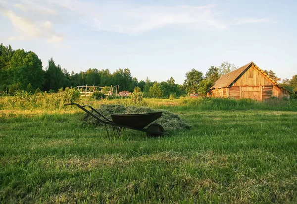 Kırsal alanda samanların yanında el arabası. Yazın çimenlerim kışa hazırlanıyor..