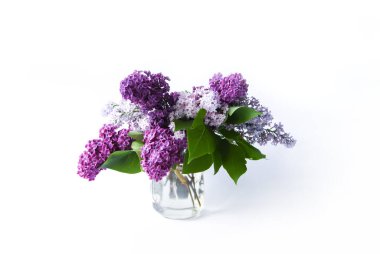 Açık arkaplanda şeffaf cam vazoda güzel mor leylak çiçeklerinden bir buket. Yaygın şırınga bitkisi