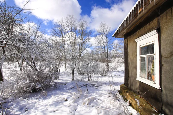 Doğu Avrupa Nın Kırsal Kesimlerinde Kış Doğası Ayrıntıları Karla Kaplı — Stok fotoğraf
