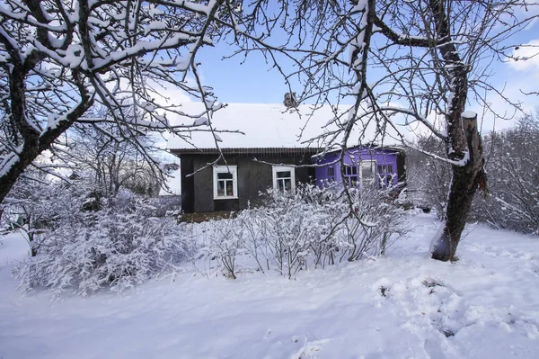 Zimowe Szczegóły Przyrody Wsi Europie Wschodniej Drewniany Dom Wiejski Ogród — Zdjęcie stockowe