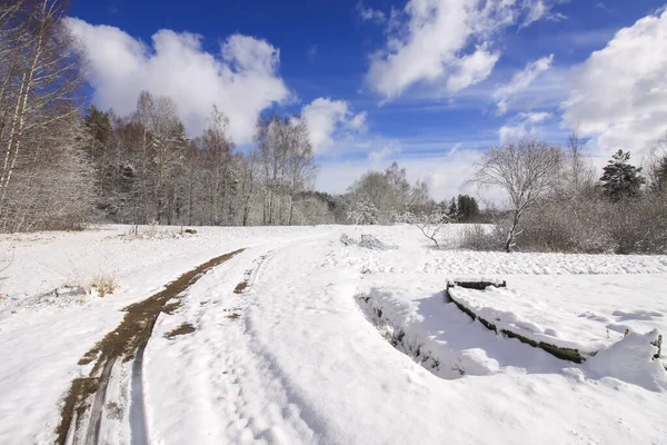 東ヨーロッパの田舎で冬の自然詳細 雪に覆われた畑と木々 — ストック写真