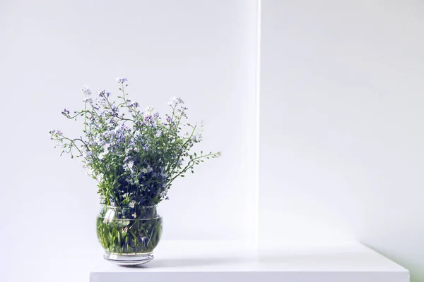 Bouquet of the beautiful spring blue and white forget-me-not flowers on light background. Myosotis plant. Natural decor. Floral composition in minimalist light interior