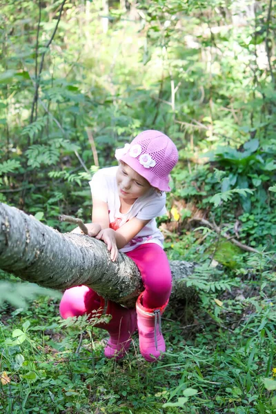 夏の森を歩き自然を探検する少女 — ストック写真