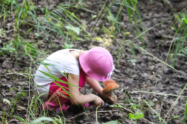 Uma Menina Coleciona Cogumelos Comestíveis Uma Floresta Verão — Fotografia de Stock