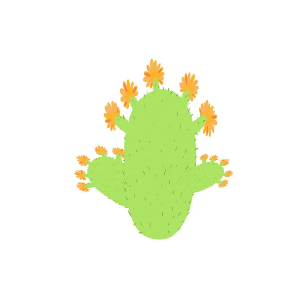 Cactus Fleurs Vertes Sur Fond Blanc Illustration Vectorielle — Image vectorielle