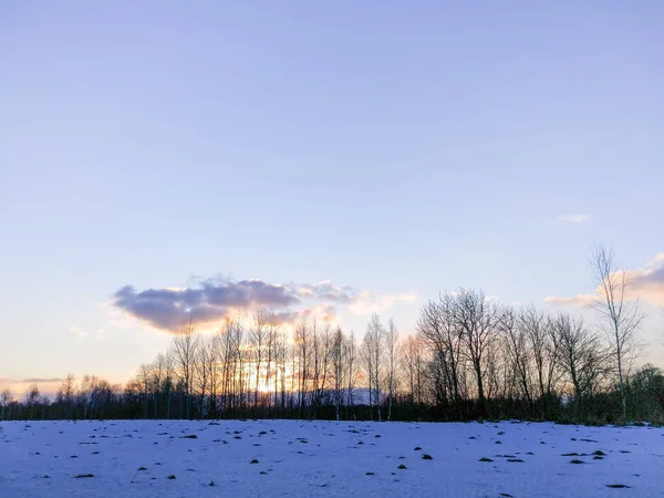 Зимний Пейзаж Заснеженными Полями Деревьями — стоковое фото