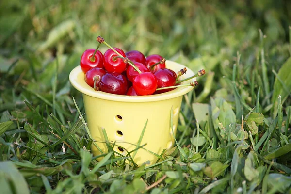 Cerises Rouges Mûres Dans Une Tasse Céramique Extérieur — Photo