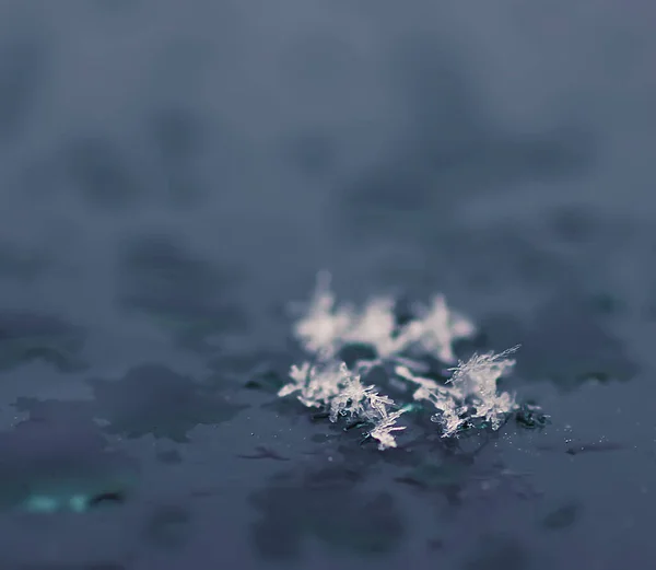Flocos Neve Durante Queda Neve Superfície Vidro — Fotografia de Stock
