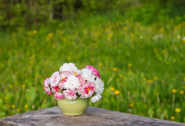 Margeritenblüten Keramikvase Auf Der Holzbank Freien — Stockfoto