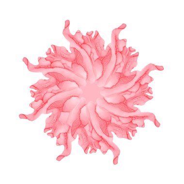 Beyaz arkaplanda pembe yumuşak çiçek şekli.